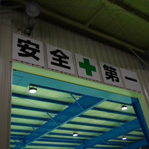 IMGP0529